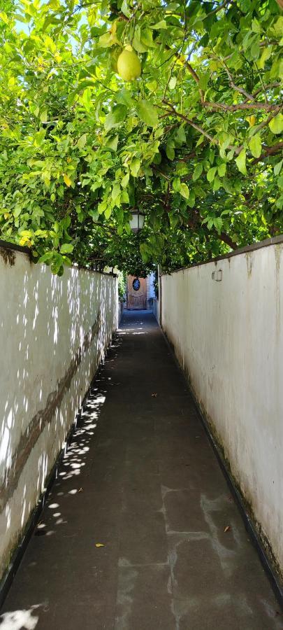 Casa Teresinella Garden Torre Annunziata Exterior foto